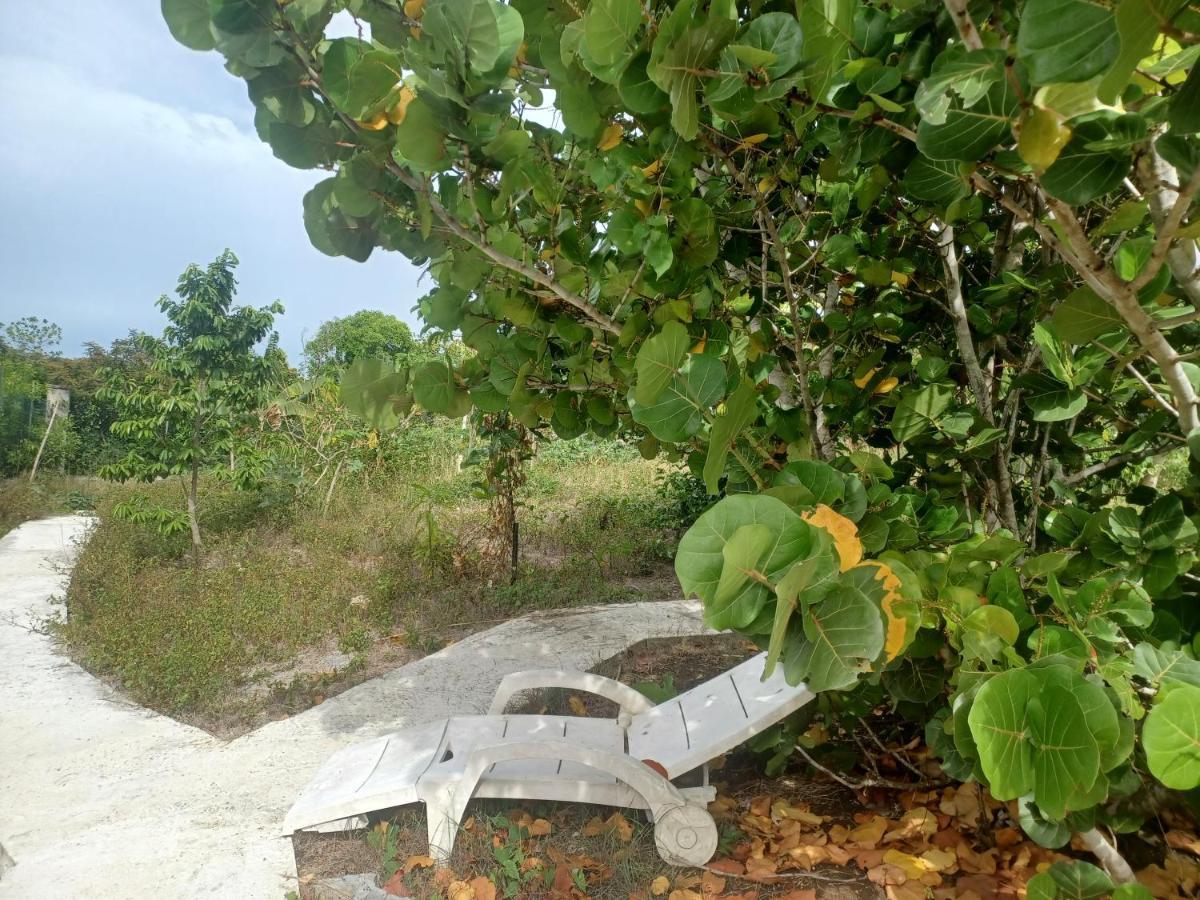 "Le Champs" Des Oiseaux Villa Anse-Bertrand Esterno foto