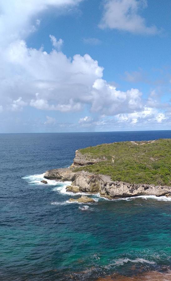 "Le Champs" Des Oiseaux Villa Anse-Bertrand Esterno foto